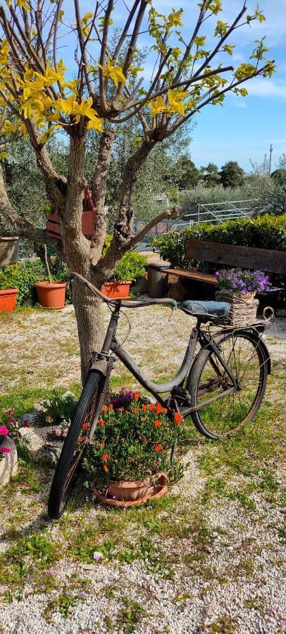 Antico Trullo Immerso Nella Campagna Alberobello Eksteriør bilde